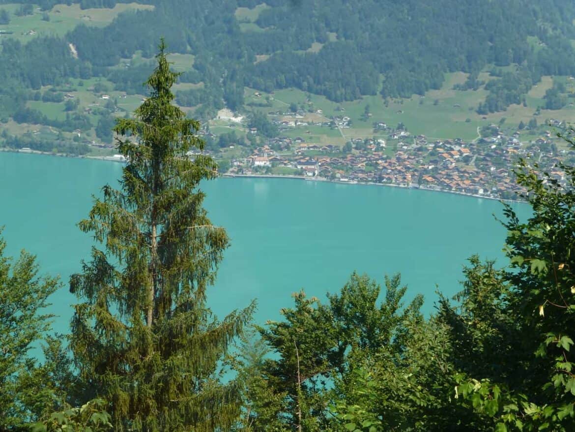 Permaculture in Swiss Alps Schweibenalp