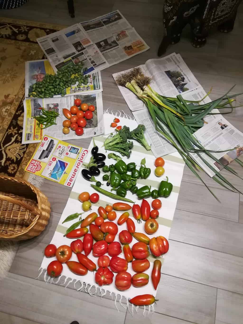 Bountiful November garden harvest