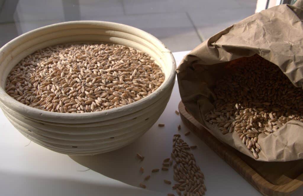 Longer Shelf life of grains
