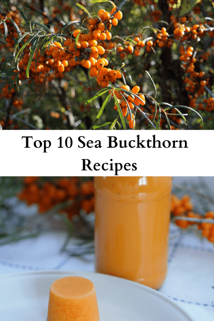 Top 10 Sea Buckthorn Recipes