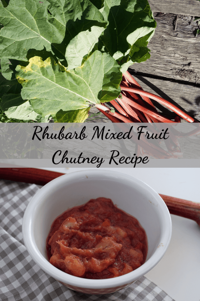 Rhubarb mixed fruit chutney