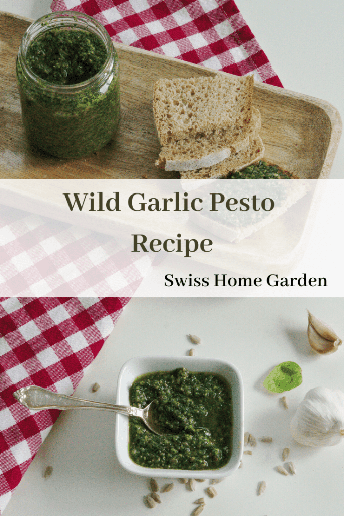 Wild Garlic Pesto pinit