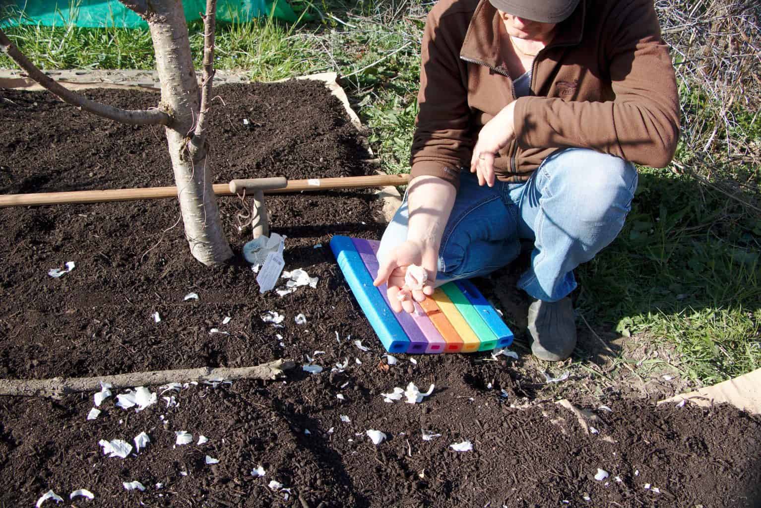 No dig garden spring planting ideas