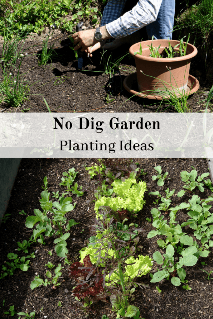 No dig garden Planting ideas