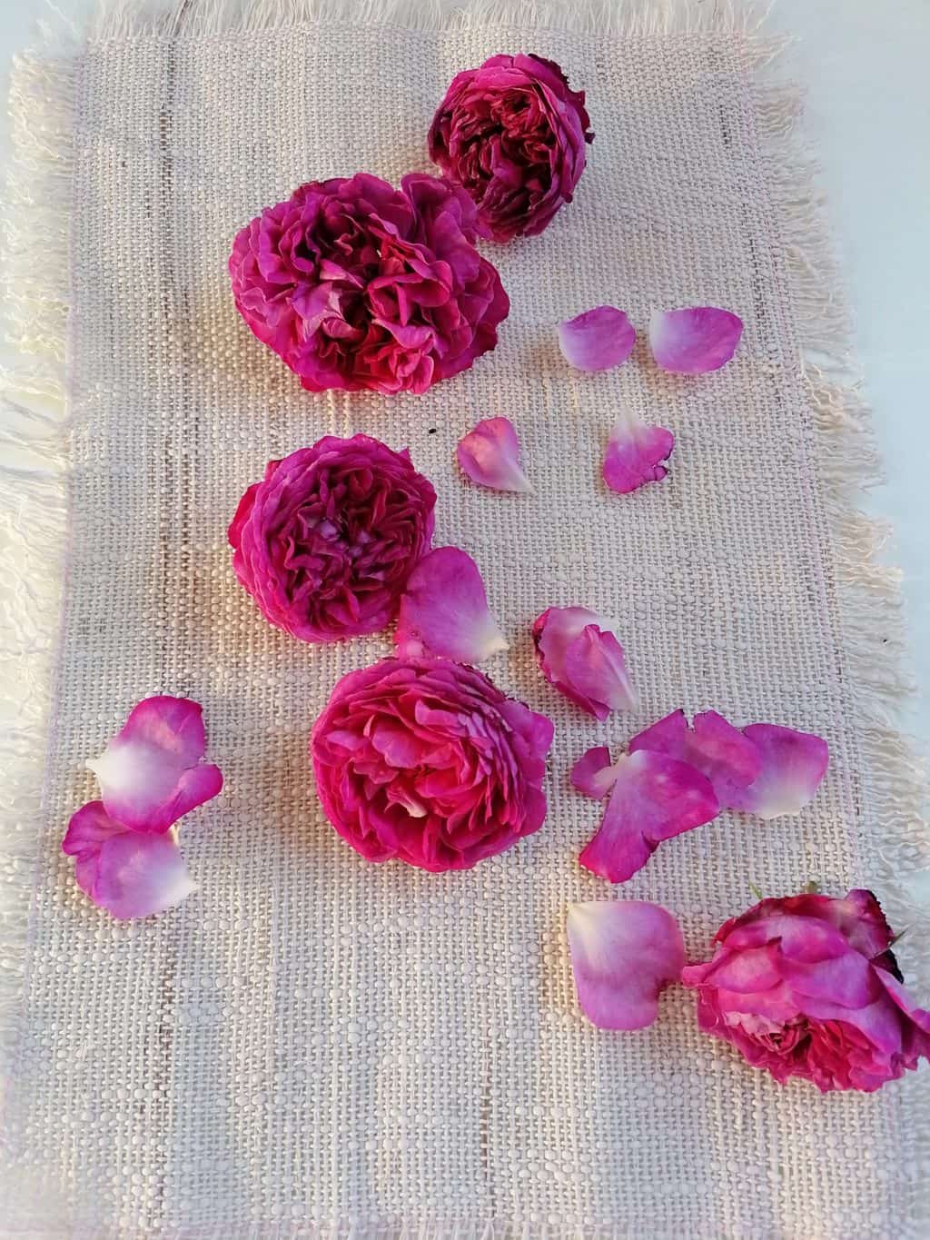 Roses for Rose petal jam recipe