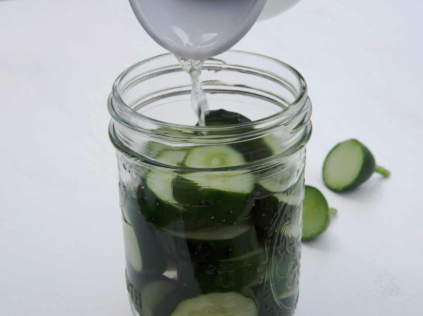 Homemade fermented cucumber pickles