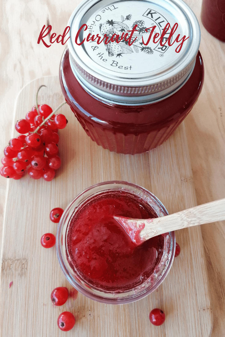 Easy Red Currant Jelly Recipe Without Pectin Vital Fair Living 5938