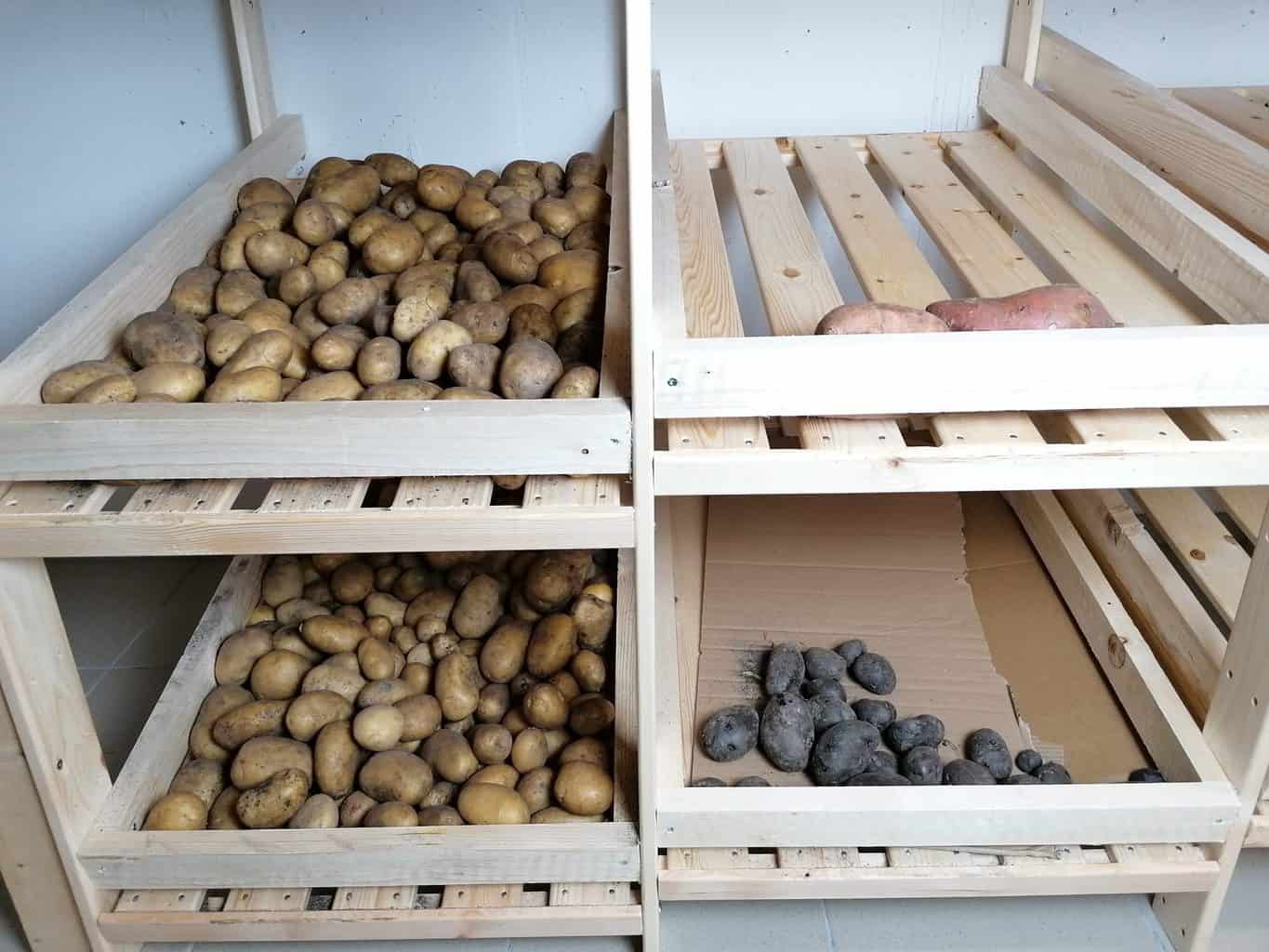 DIY Potato storage