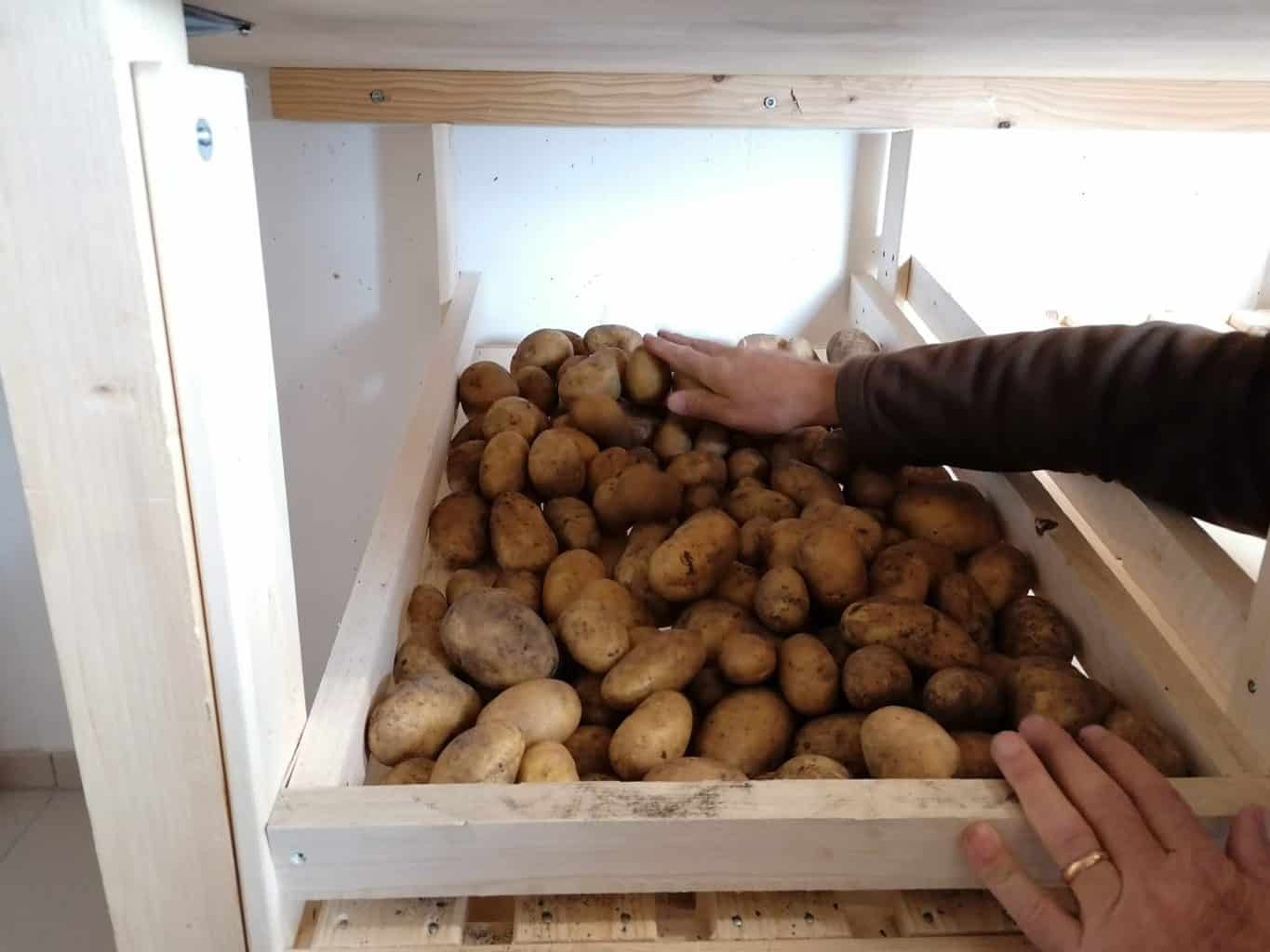 DIY Potato storage unit