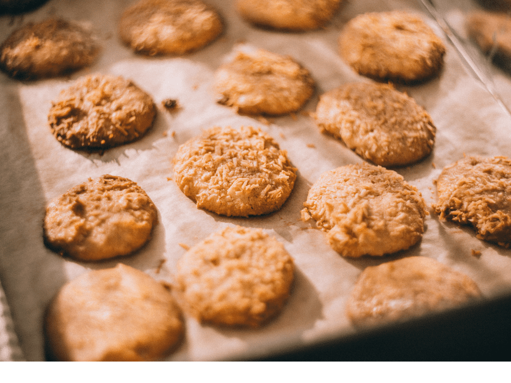 crunchy coconut oat biscuits