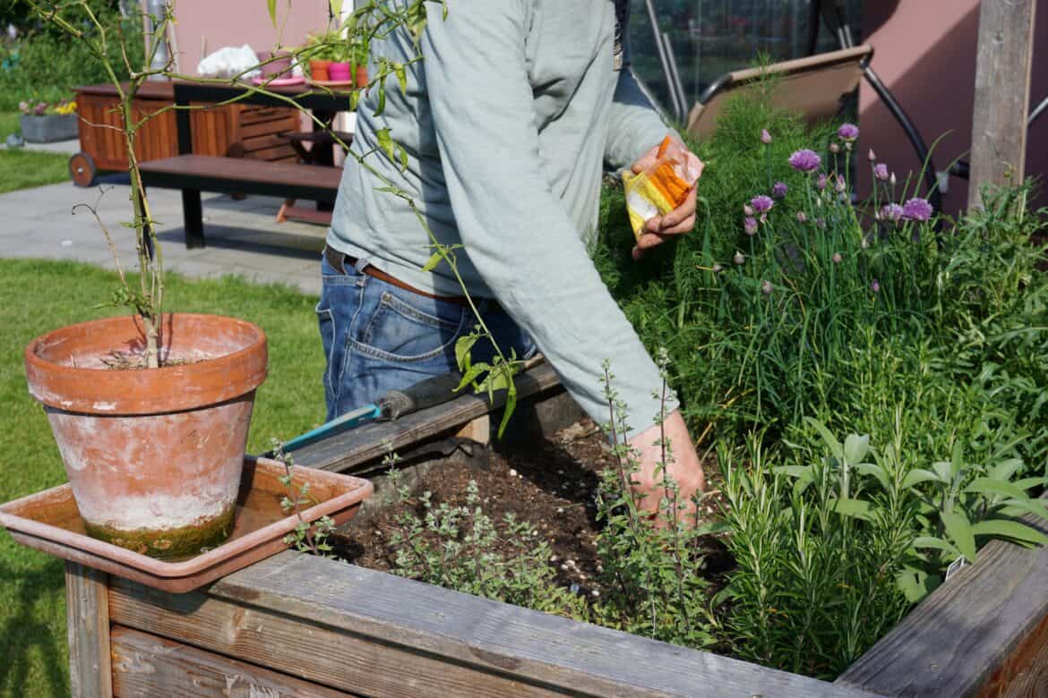 How to start and sustain a productive garden How to start and sustain a productive garden