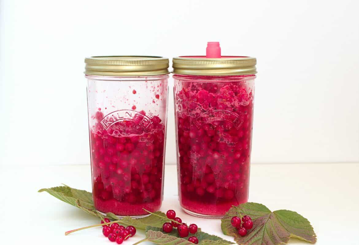 Lacto Fermented Red Currants Lacto Fermented Red Currants