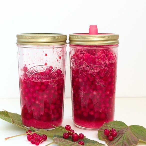 Lacto Fermented Red Currants