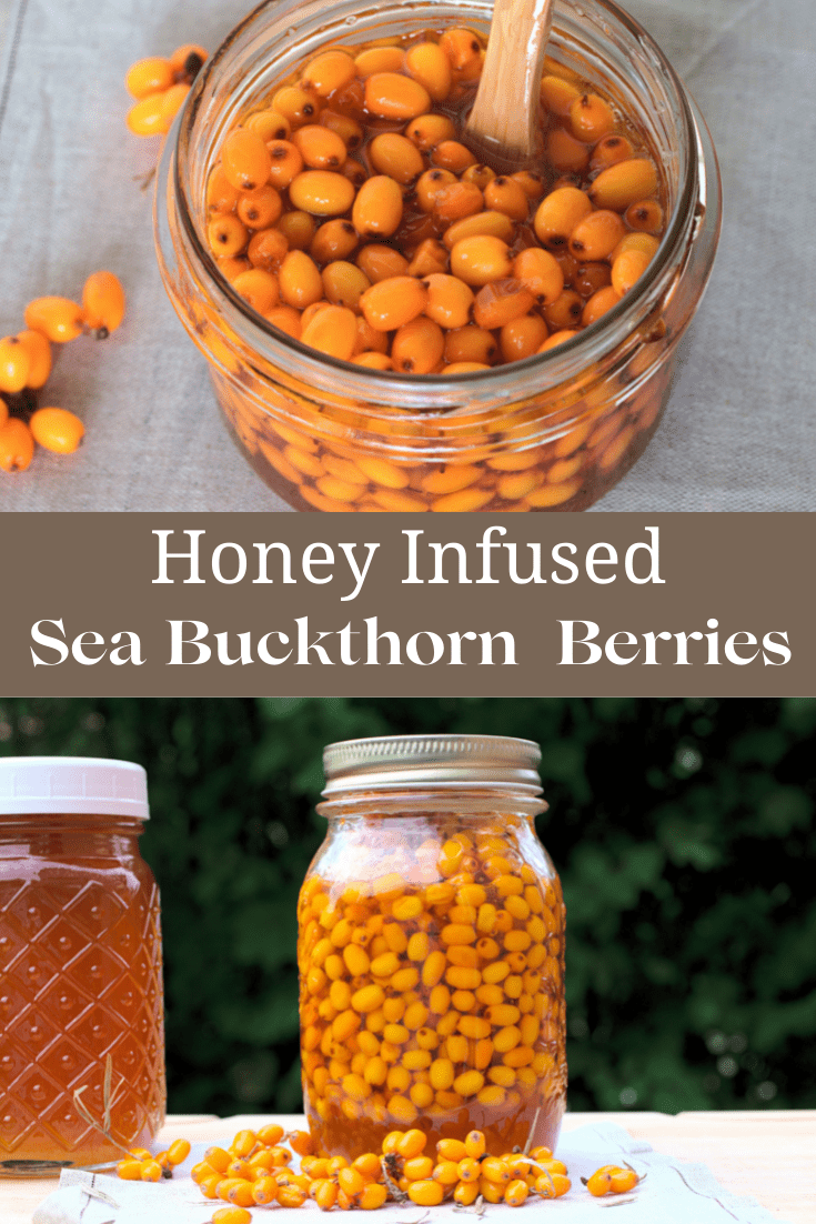 Sea Buckthorn infused in Honey Vital Fair Living