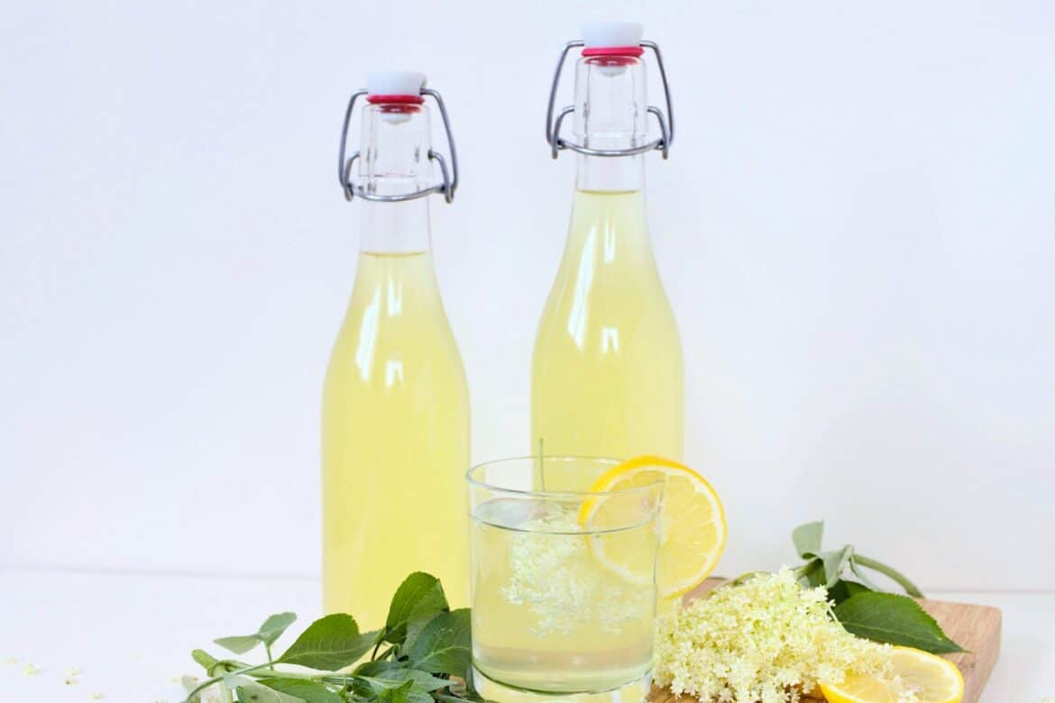 Elderflower Cordial Recipe