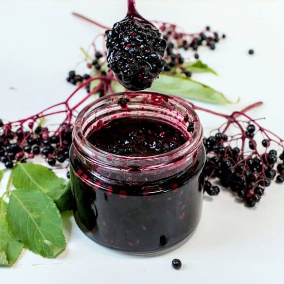 Elderberry compote recipe