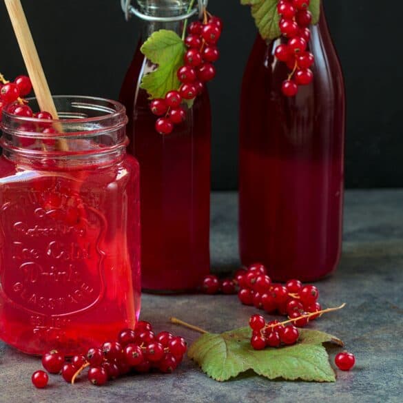 Red Currant Syrup Recipe