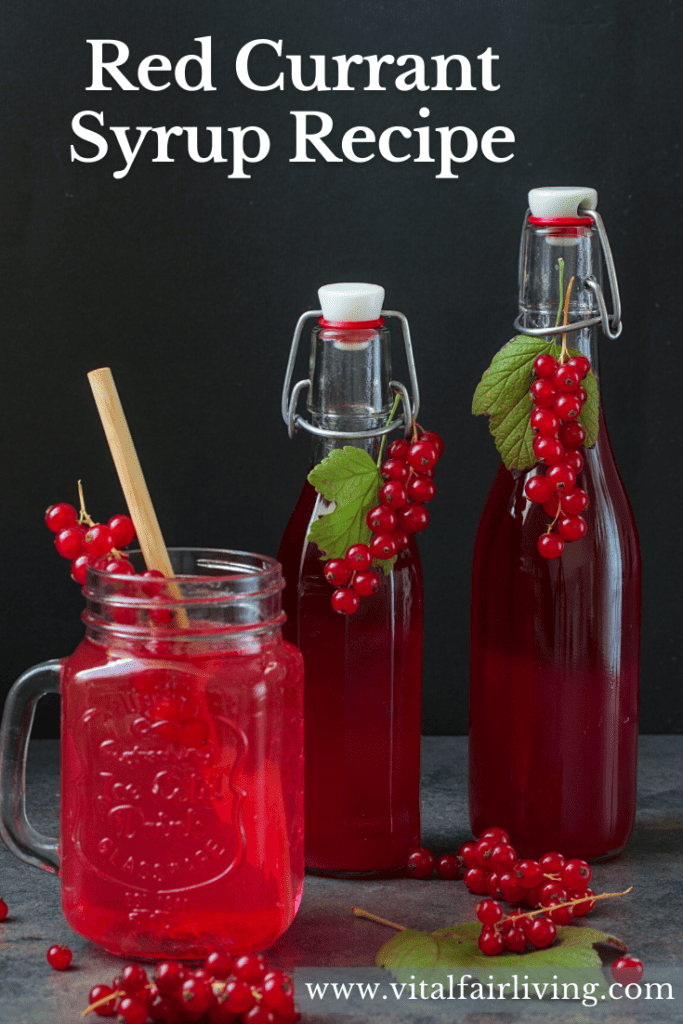 Red Currant Syrup 