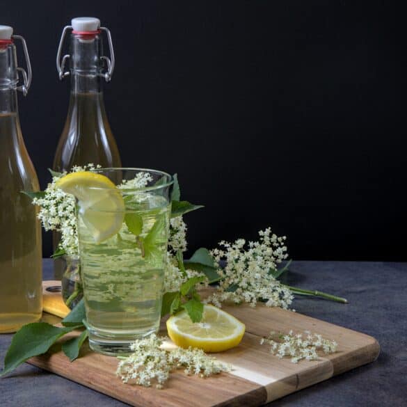 Elderflower Mint Cordial Recipe