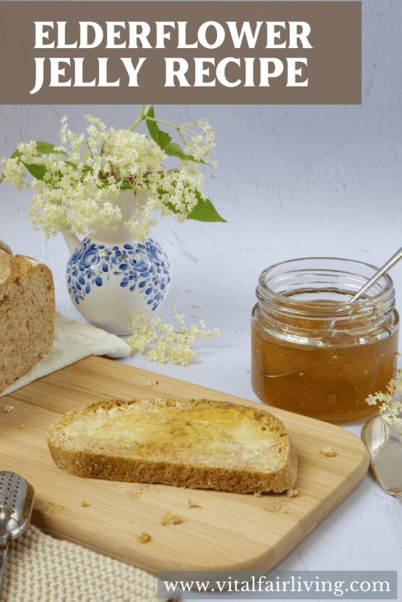 Easy Elderflower Jelly (or Jam) Recipe - Vital Fair Living