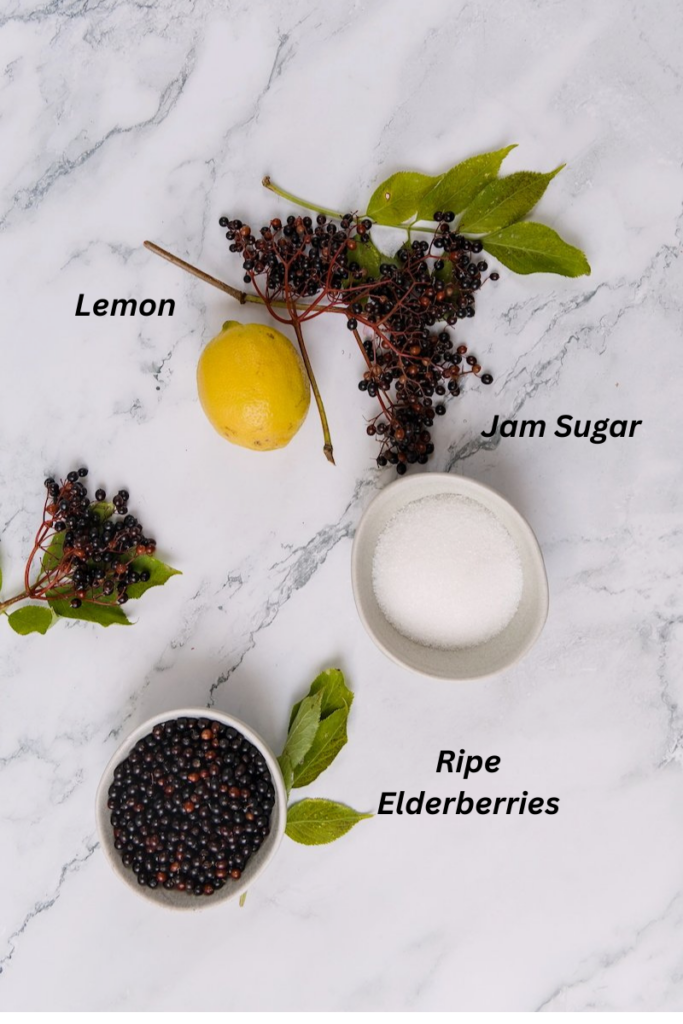 Ingredients for Elderberry Jelly Recipe