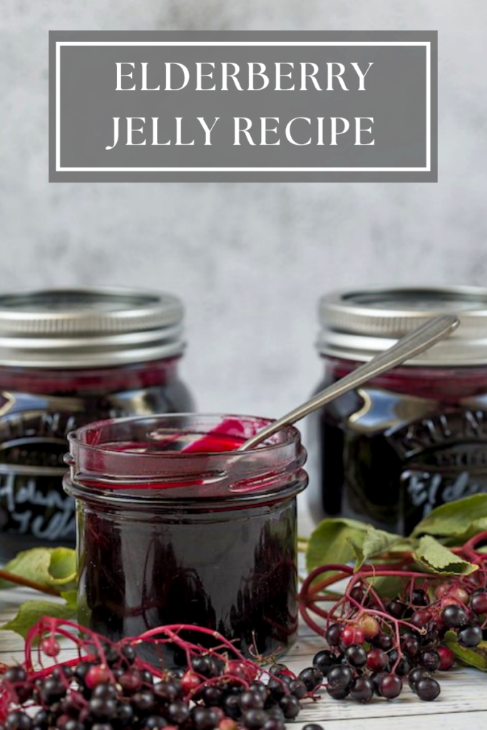 Easy Elderberry Jelly Recipe