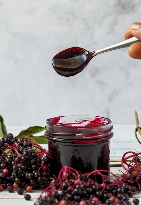 Easy Elderberry Jelly recipe 